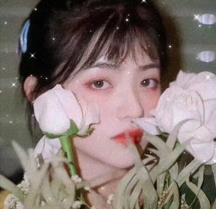 尸踪七号房