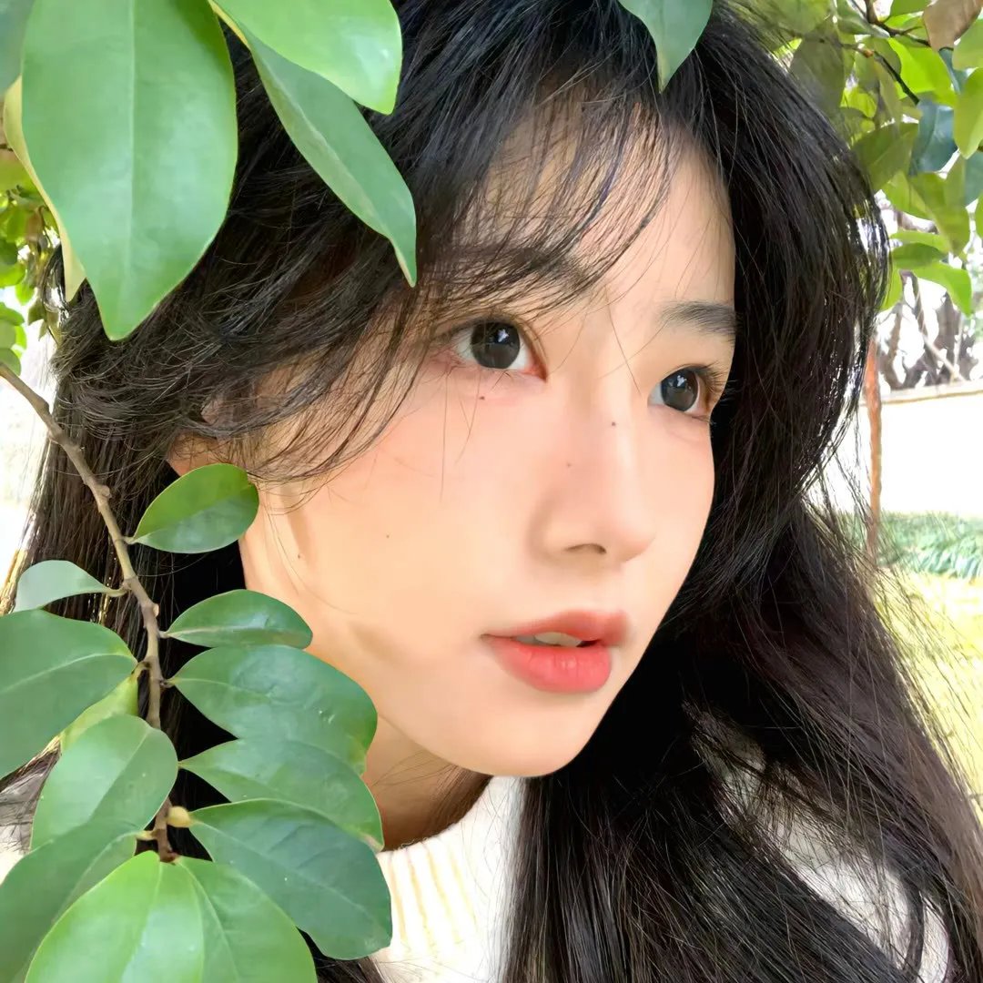 情欲王朝